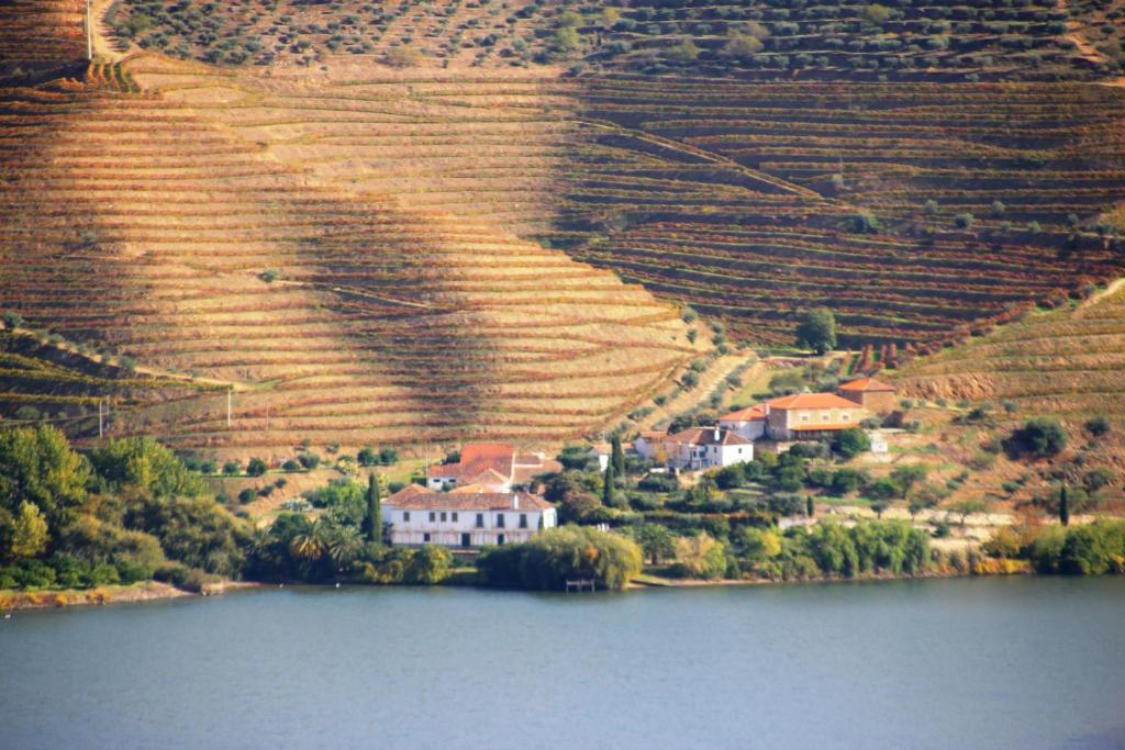 Douro Yacht Charter & Bungalows São João da Pesqueira Exterior foto